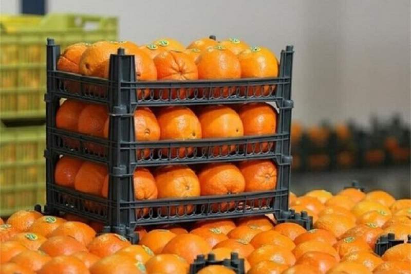 ذخیره‌سازی‌ ۴۵۰ تن سیب و پرتقال در کردستان برای شب عید
