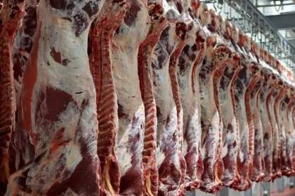 توزیع روزانه گوشت تنظیم بازاری در سنندج و هشدار مدیرکل تعزیرات حکومتی به اصناف  
